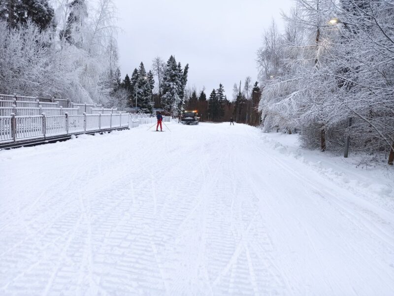 Трасса лыжероллерная Зеленоград Савелки, состояние на 16 декабря 2025 по отзыву, фото 4. 